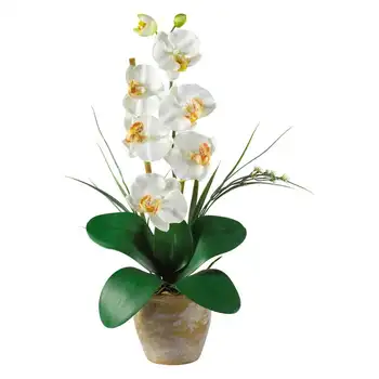 Композиция из цветов шелковой орхидеи, кремовый